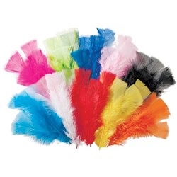 Feathers 60g Assorted Pack of 240_2